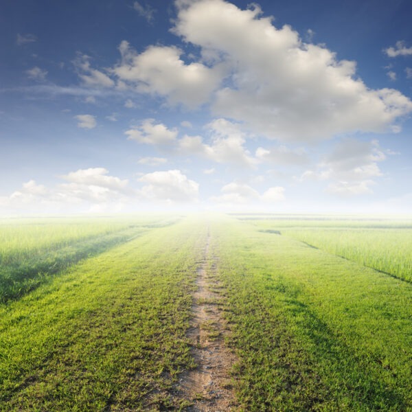Farm with a beautiful view - Image 2